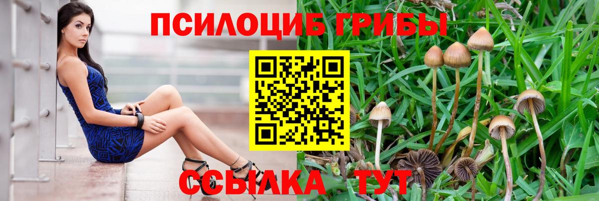 Галлюциногенные грибы GOLDEN TEACHER Нарткала
