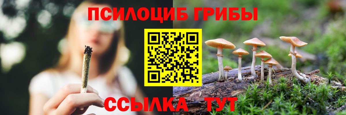 Галлюциногенные грибы мицелий  Вход с VPN  Галлюциногенные грибы прущие грибы  Нарткала 