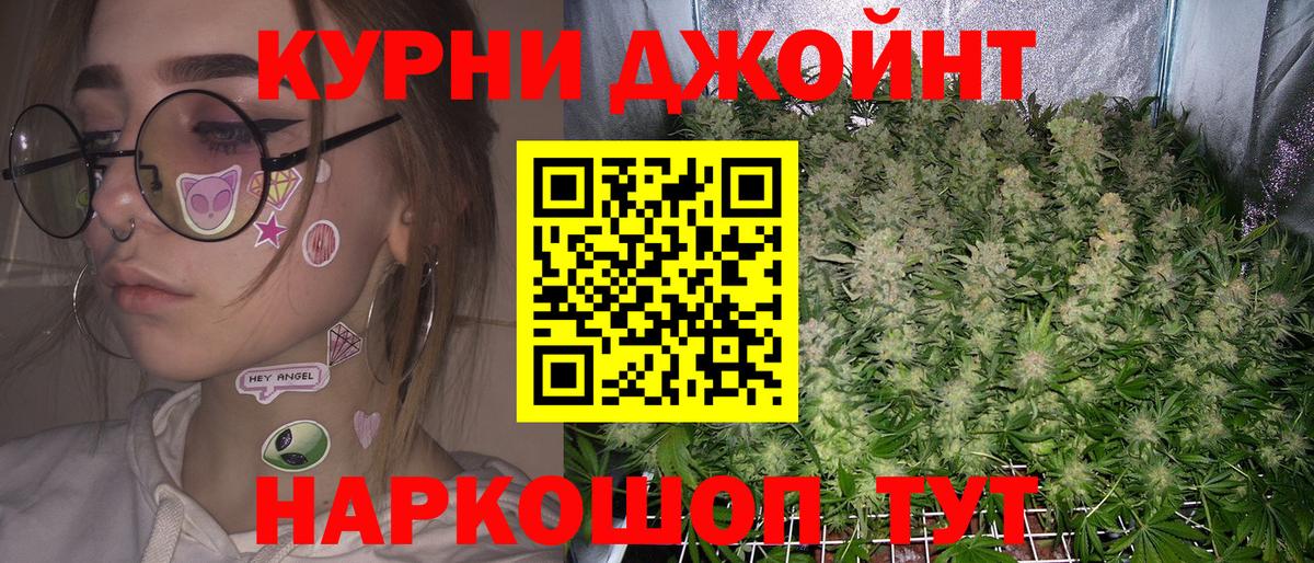 Каннабис индика Нарткала